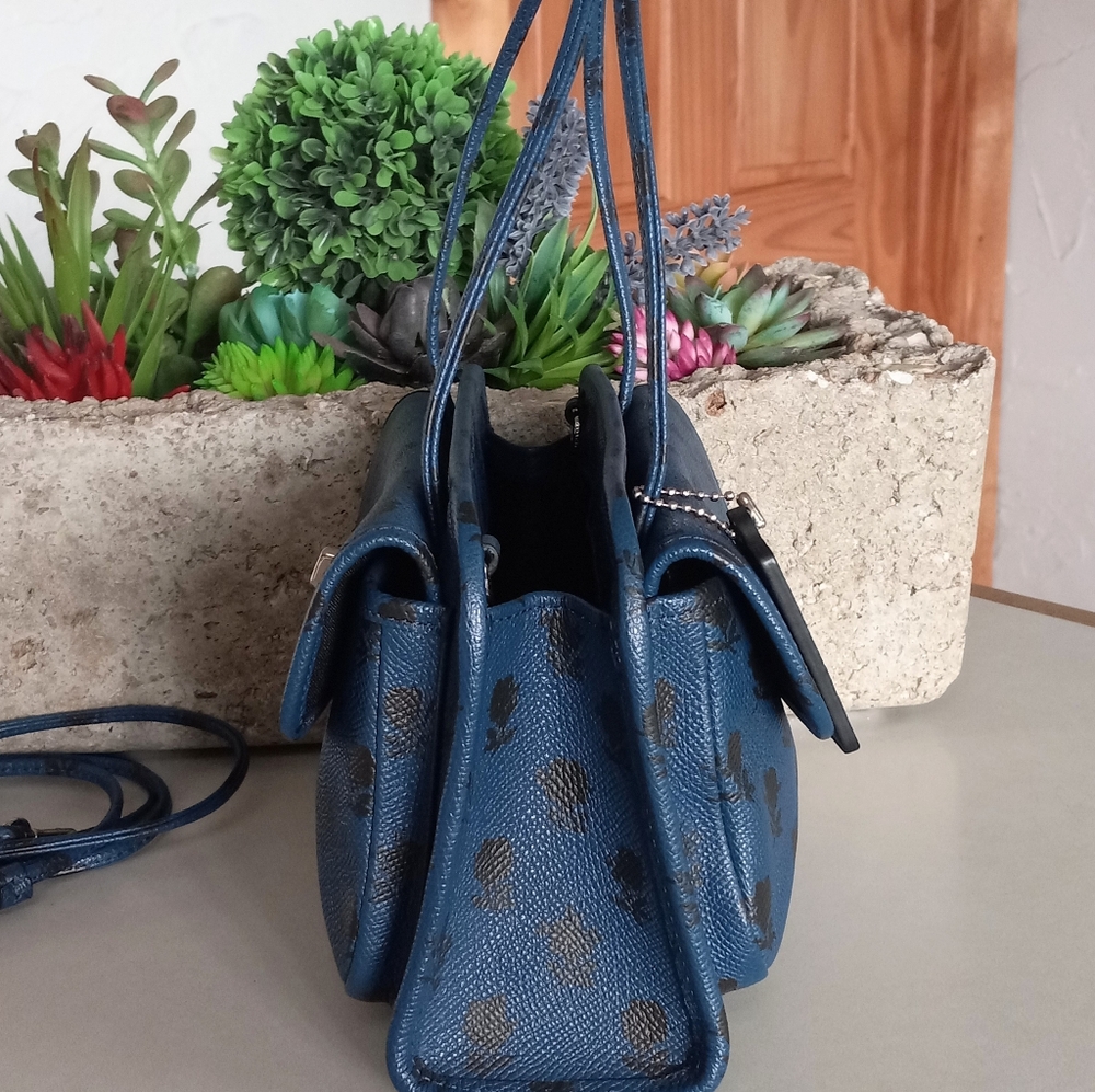 Coach Cady, Badlands Print on Crossgrain Leather, LE, Rare!!! - Picture 10 of 13